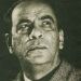Mariano Picon Salas