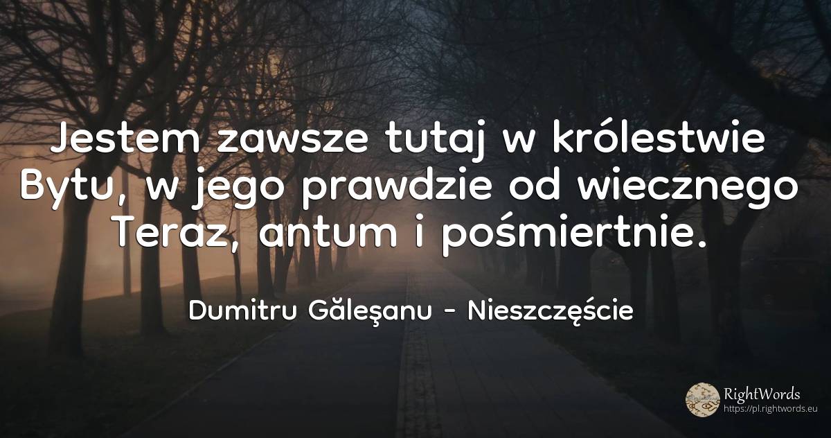 Jestem zawsze tutaj w królestwie Bytu, w jego prawdzie od... - Dumitru Găleşanu, cytat o nieszczęście