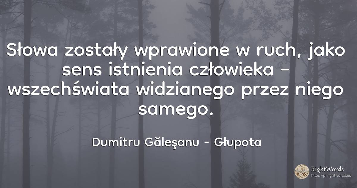 Słowa zostały wprawione w ruch, jako sens istnienia... - Dumitru Găleşanu, cytat o głupota