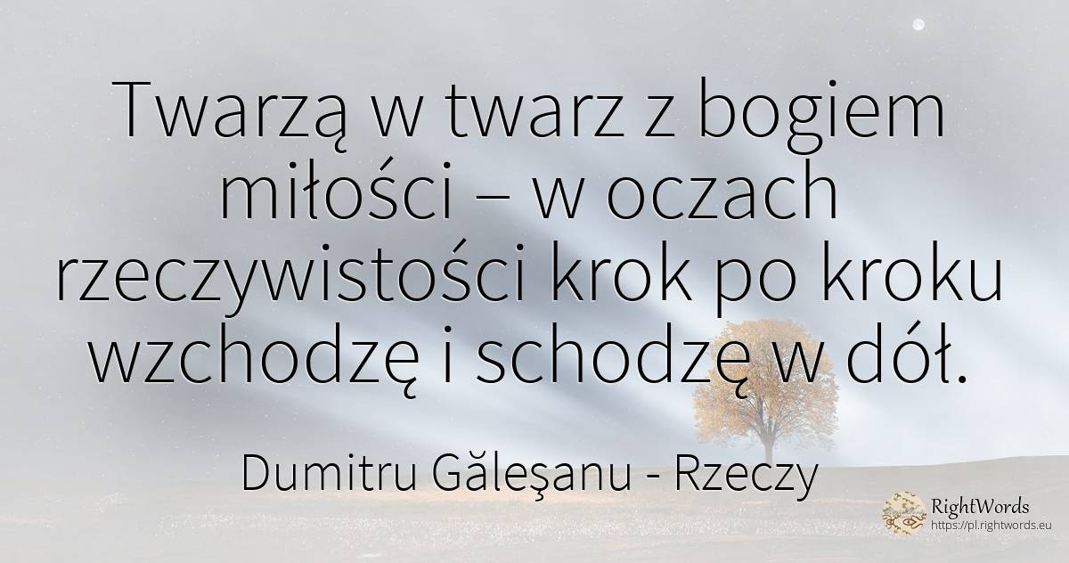 Twarzą w twarz z bogiem miłości – w oczach rzeczywistości... - Dumitru Găleşanu, cytat o rzeczy