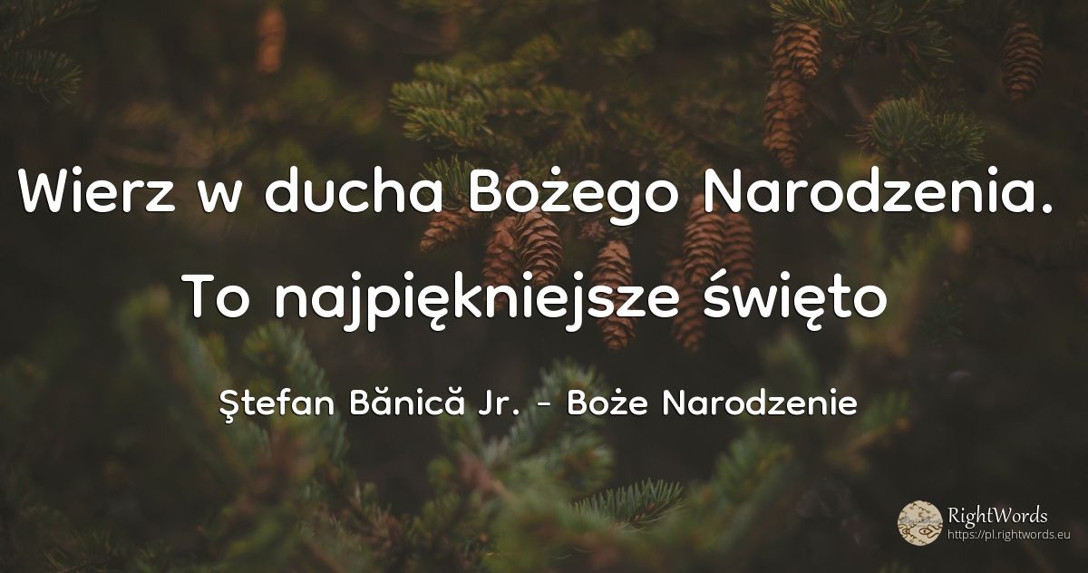 Wierz w ducha Bożego Narodzenia. To najpiękniejsze święto - Ştefan Bănică Jr., cytat o boże narodzenie