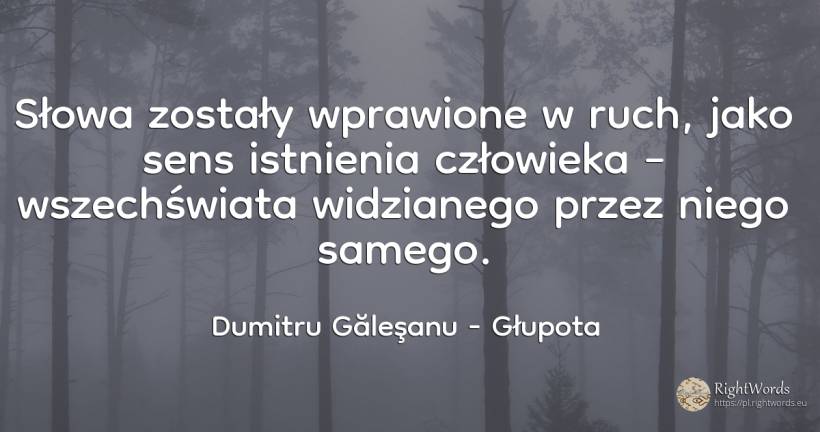 Słowa poruszyły się jak sens istnienia człowieka –... - Dumitru Găleşanu, cytat o głupota