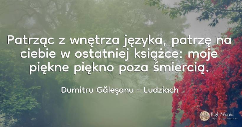 Patrząc z wnętrza języka, patrzę na ciebie w ostatniej... - Dumitru Găleşanu, cytat o ludziach