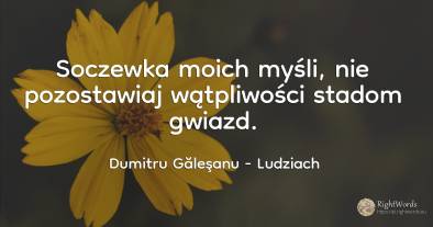 Soczewka moich myśli, nie pozostawiaj wątpliwości stadom...