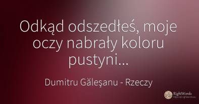 Odkąd odszedłeś, moje oczy nabrały koloru pustyni...