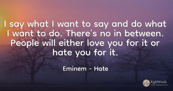 I say what I want to say and do what I want to do....